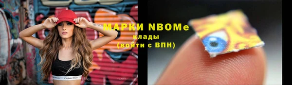 гашик Нефтекумск